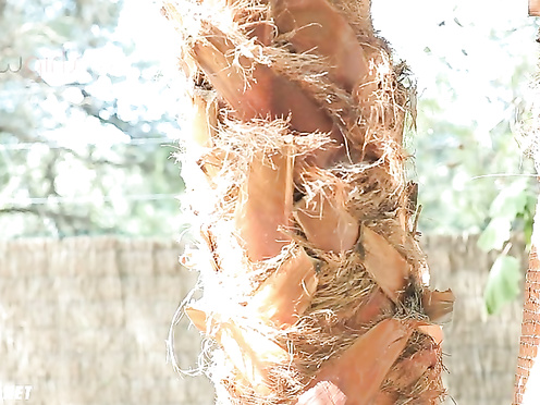 Красотка с интимной стрижкой позирует у пальмы