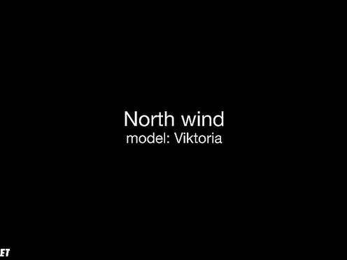 Северный ветер